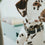 V8H21C7729E8D8FB0F8D490441A2CBFCC28R2306635P2
