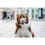 V3H9EC1791F18409A5E27604DD14512BED6R5592574P3